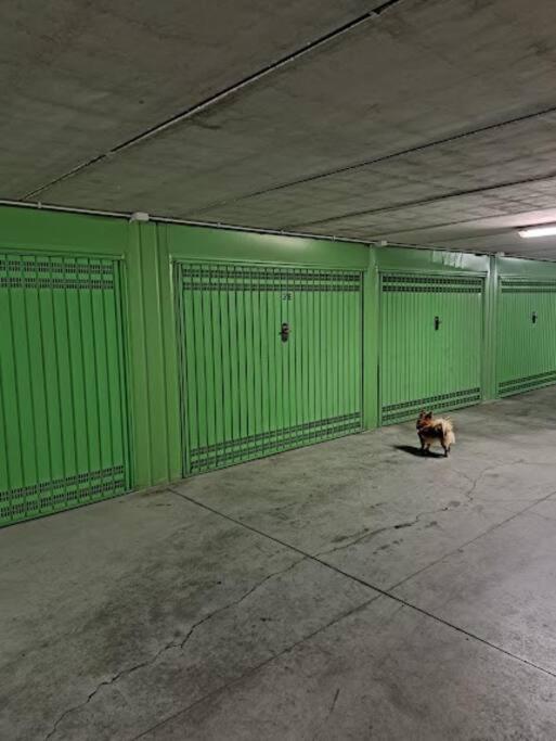 Centrale Vicino Spiagge E Ciclabile + Box-Auto ! Apartment Arma di Taggia Ngoại thất bức ảnh
